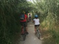 cicloturismo_terre_pontine2019-06-15-at-19.12.58