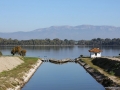 Lago di Fogliano: Foce Nuova