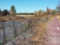 04_L'ippodromo di tor di valle.... abbandonato e incendiato!